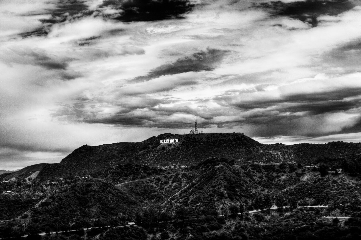 Hollywood Sign Black and White 42x56 in